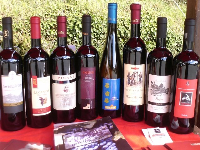 vini doc  terre dell alta val dagri